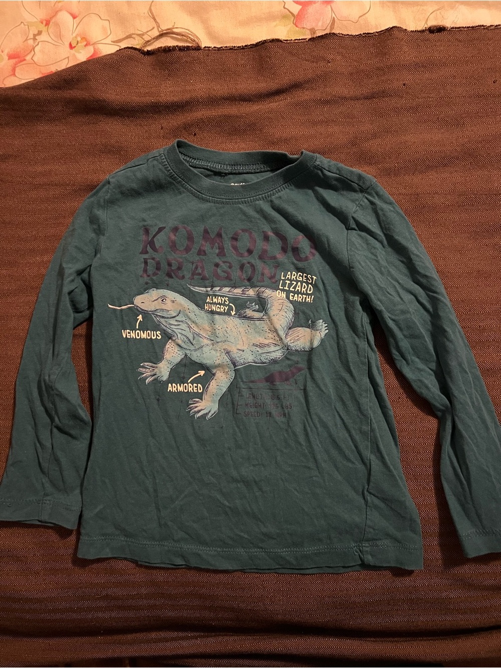 Osh Kosh Toddler Komodo Dragon Long Sleeve T-shirts Size 3T